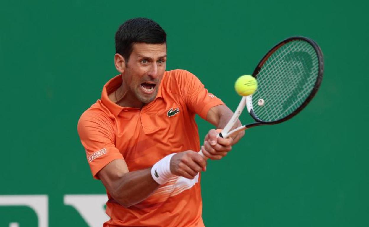 Djokovic resta durante el partido ante Davidovich. 