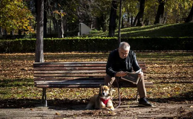 Un hombre lee el periódico en un parque junto a su perro. /I. Gil