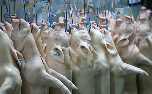 Imagen de archivo de un matadero de León. 