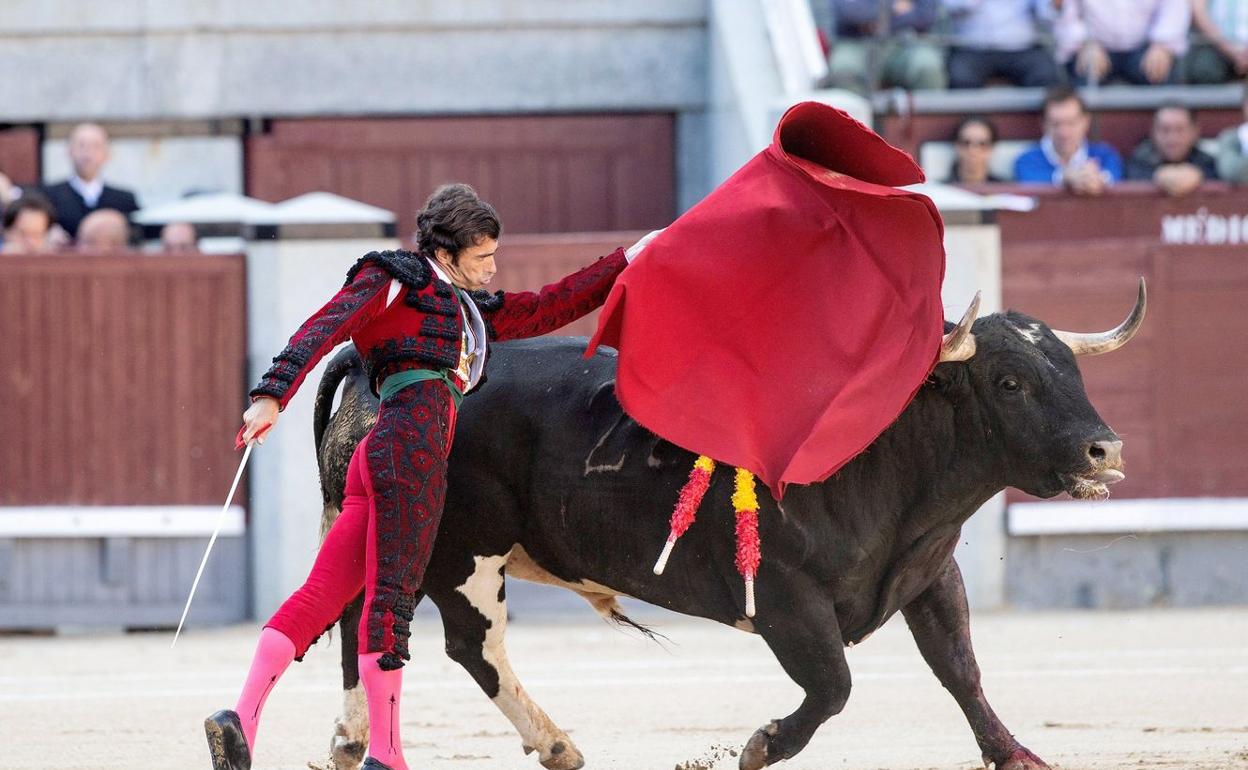 El sector taurino ha visto desplomarse el número de festejos que celebra la provincia.