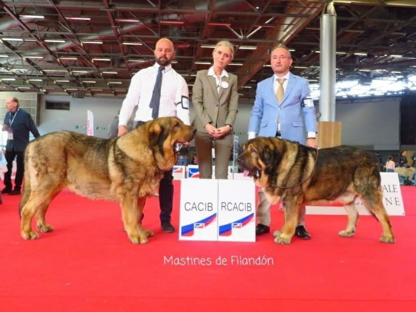 Delegación leonesa en el European Dog Show celebrado en París, con triunfos de la provincia. 