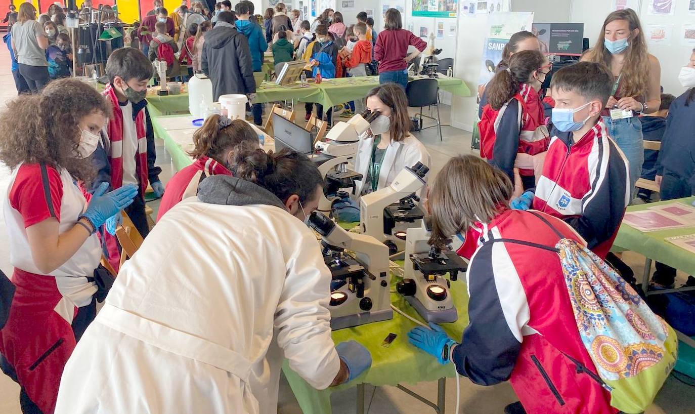 A lo largo de los próximos tres días el Palacio de Exposiciones se abre a la tercera edición de Expociencia de la Universidad de León 2022. Se trata de una cita que acoge a más de 5.000 escolares, que aprenderán de ciencia e investigación en los 43 stands disponibles de la institución educativa. 