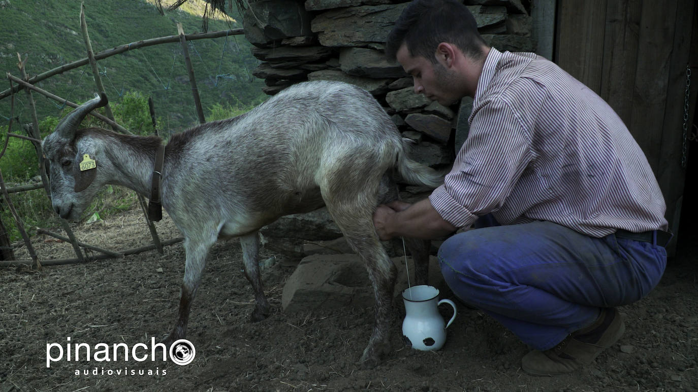 Fotos: El Arganeo se hace protagonista