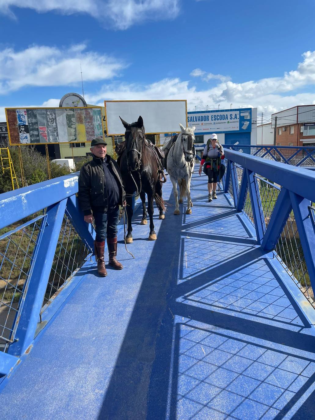 Fotos: De León a Santiago a lomos de Olaf y Giraldilla