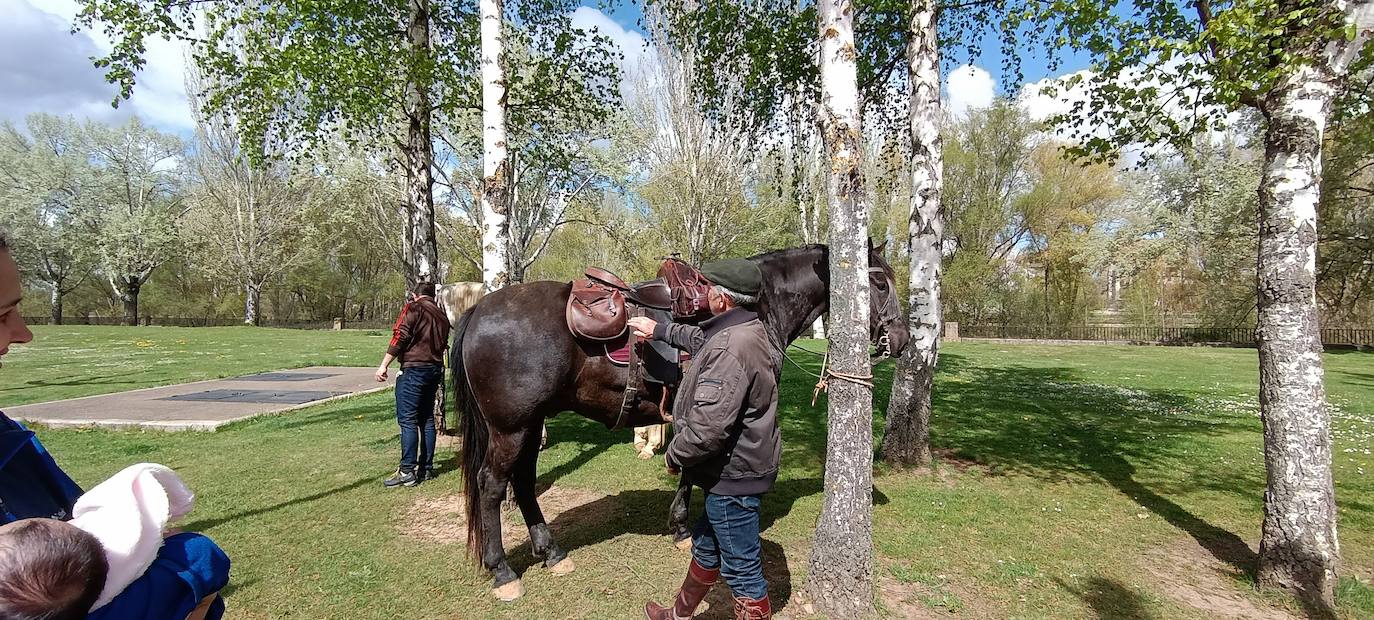 Fotos: De León a Santiago a lomos de Olaf y Giraldilla