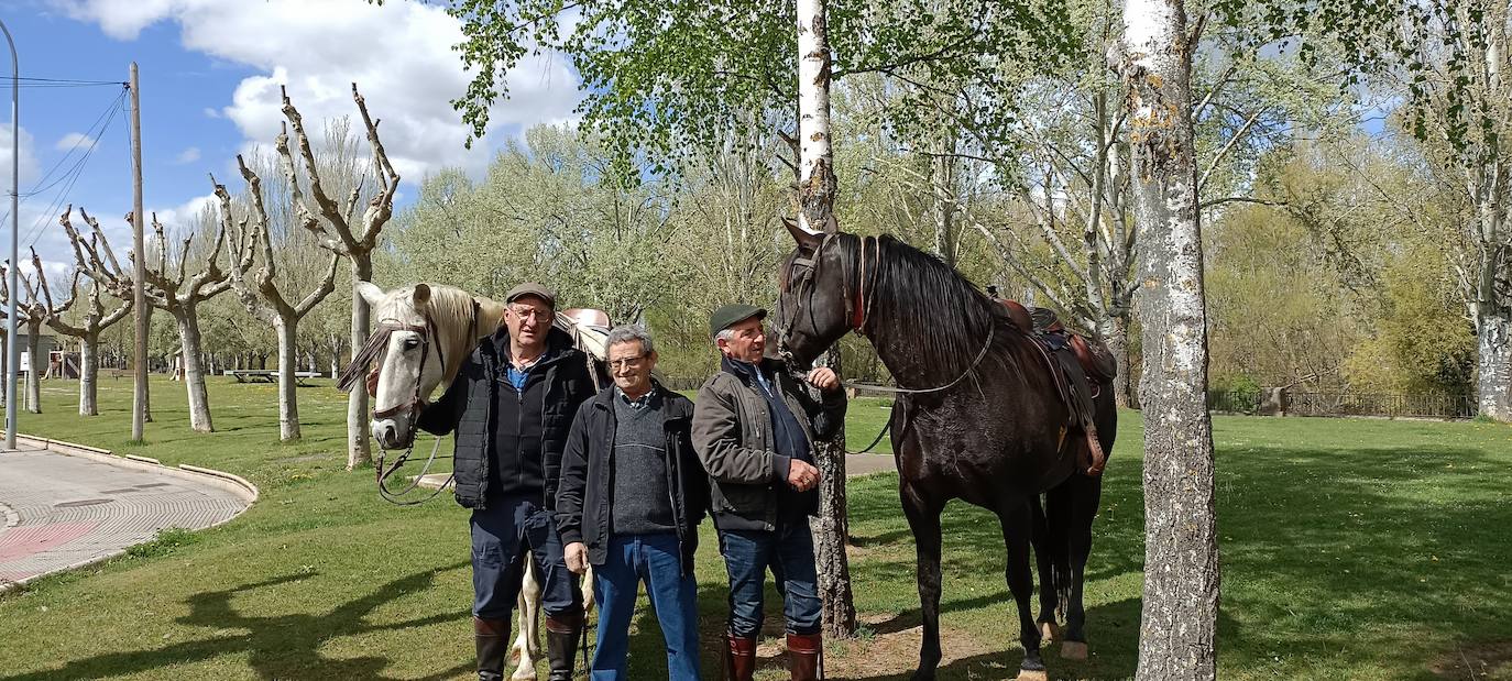 Fotos: De León a Santiago a lomos de Olaf y Giraldilla