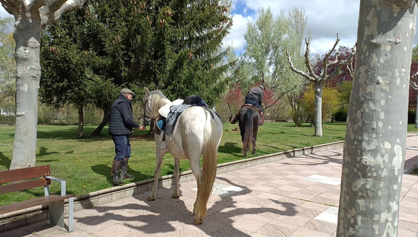 Fotos: De León a Santiago a lomos de Olaf y Giraldilla