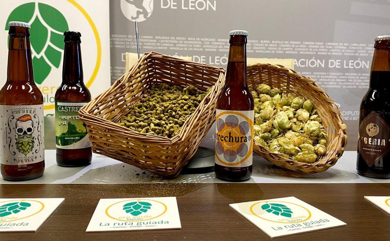 Imagen de la presentación de la primera edición de las rutas guiadas. 