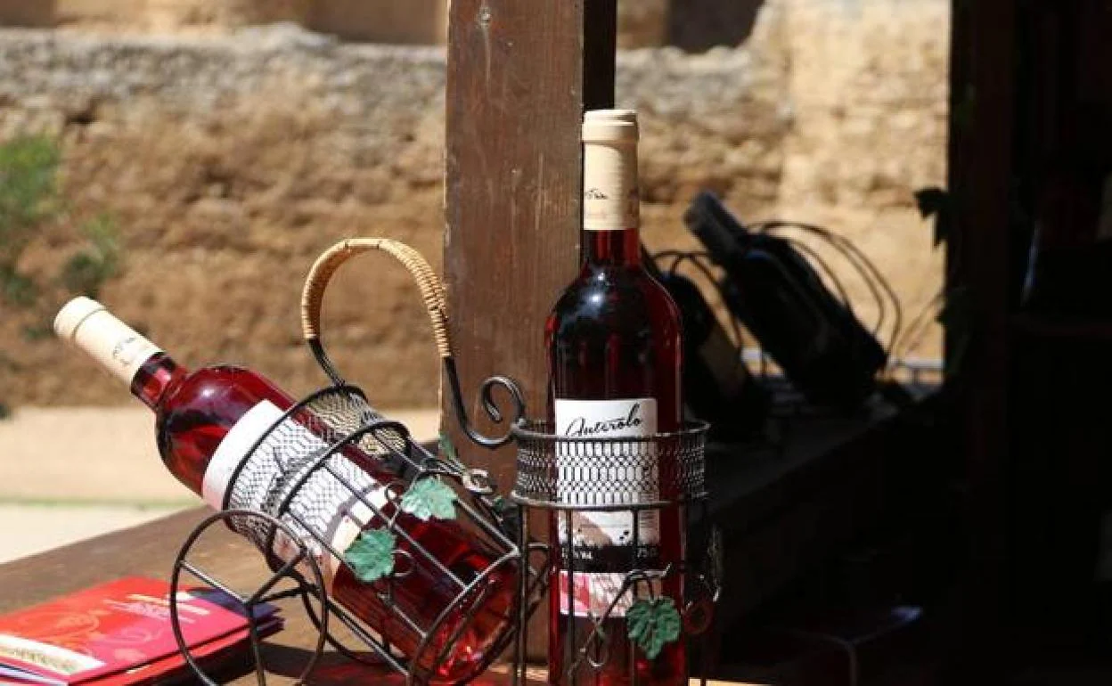 Imagen de dos botellas de vino en una feria de la DO León. 