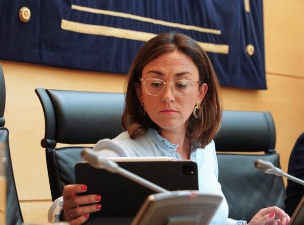 La consejera de Movilidad y Transformación Digital, María González, comparece en las Cortes para exponer el programa de actuaciones. 