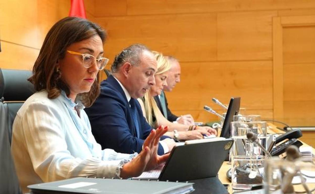 La consejera de Movilidad, María González, este miércoles.