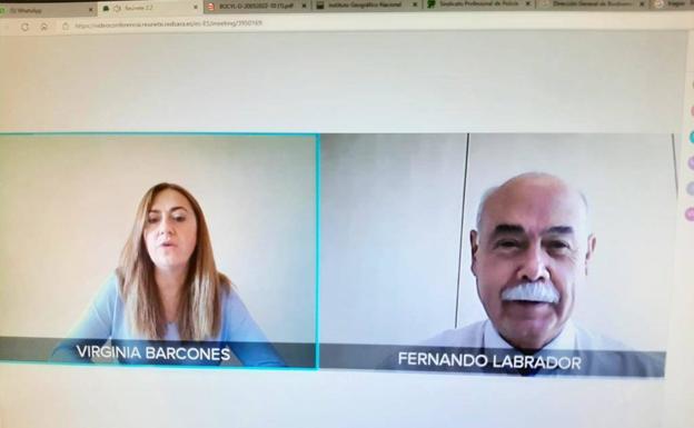 Reunión telemática de la delegada del gobierno en León y el responsable de Tragsa.