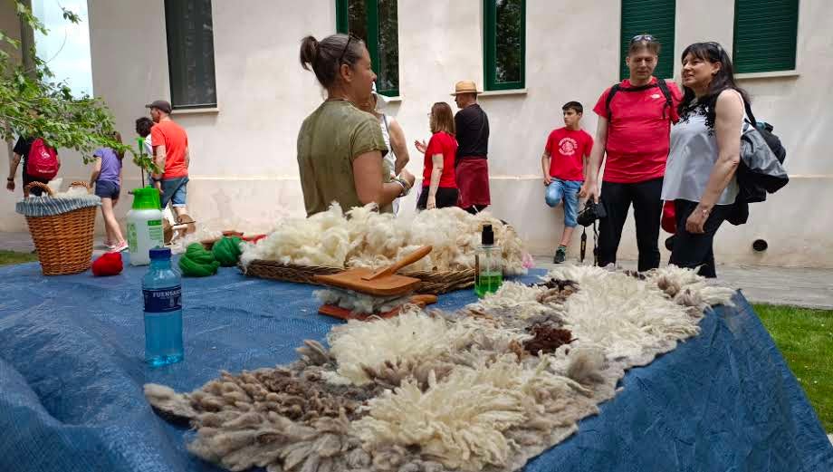 Esta tradicional feria dedicada a la investigación y difusión en el ámbito de las razas autóctonas y de pastoreo y a la agroalimentación de proximidad vuelve con fuerzas renovadas.