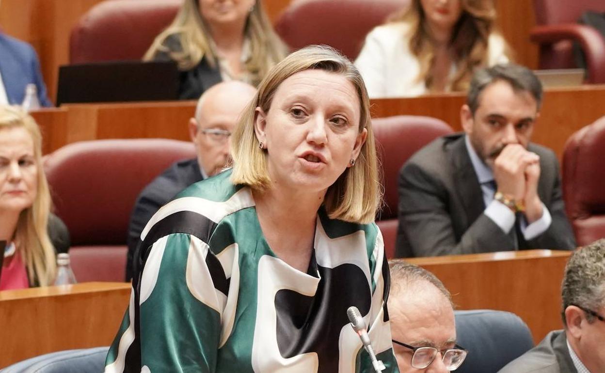 Intervención de la consejera de Familia Isabel Blanco en el Pleno de las Cortes.