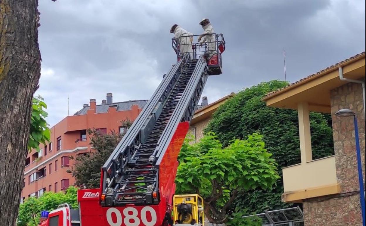 Trabajos para la retirada de colmenas en esta calle del centro de León.