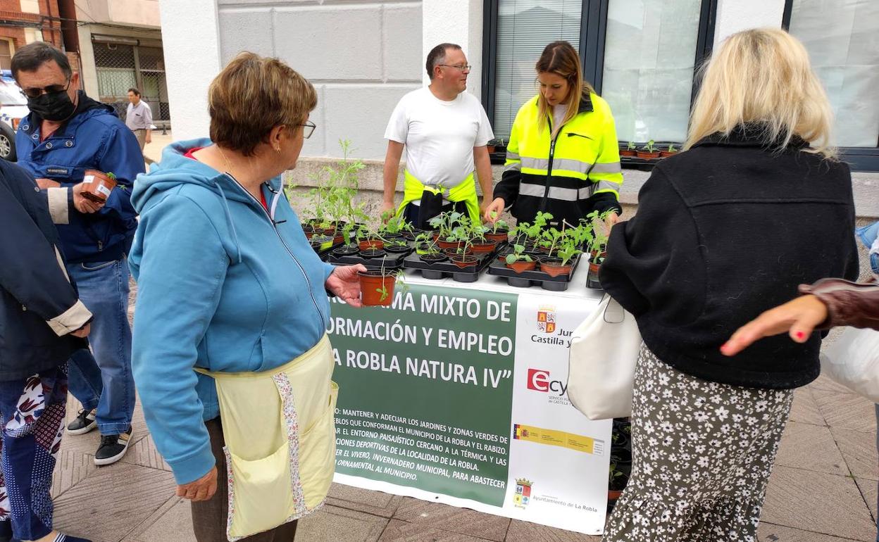 Los alumnos repartieron plantas de distintas especies cultivadas en su propio vivero