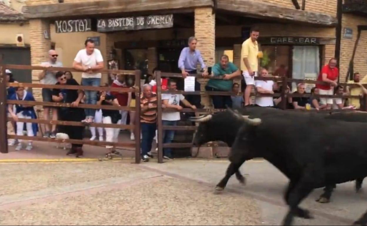 Imagen del encierro de Sahagún, el primero de estas fiestas patronales. 