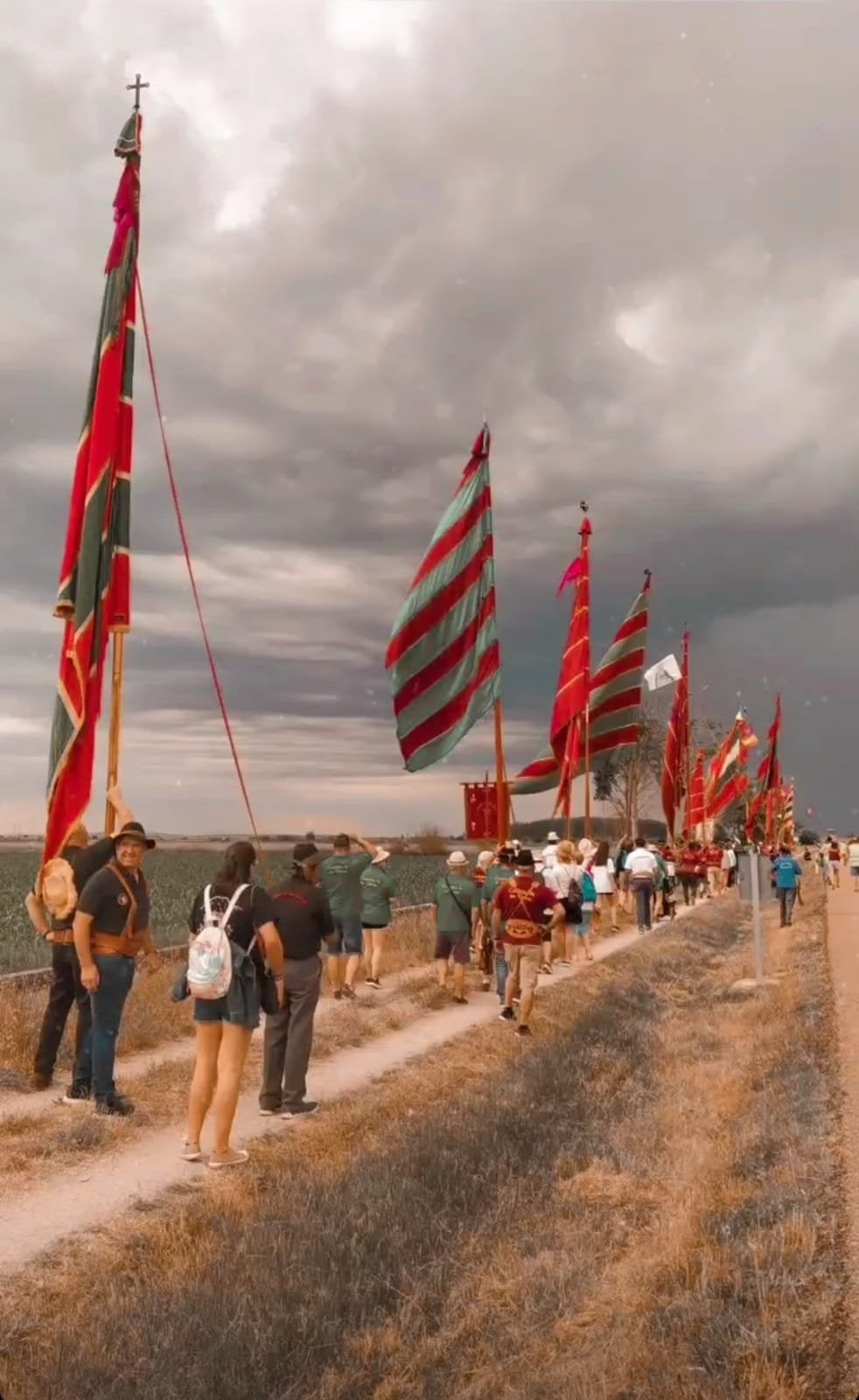 La iniciativa 'Pendones concejiles en los Caminos de Santiago del viejo Reino de León' 