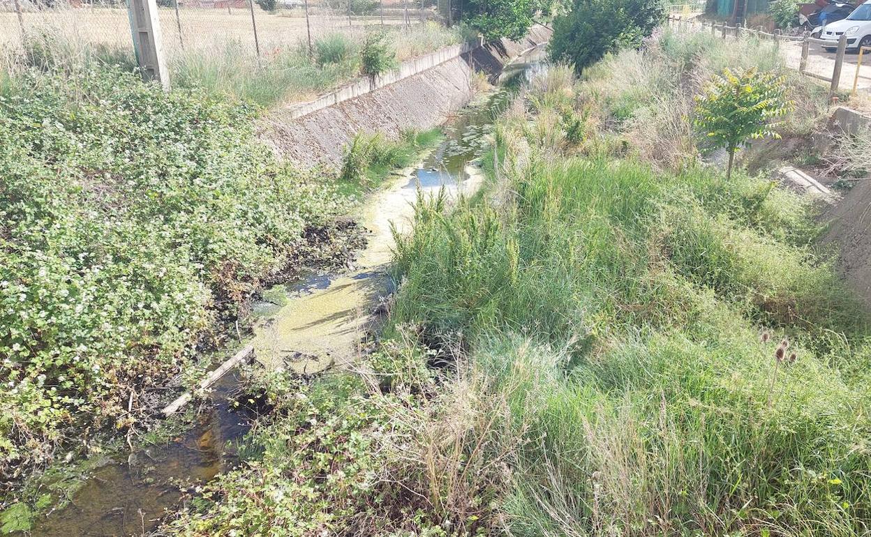 Canal del Carbosillo en San Andrés del Rabanedo.