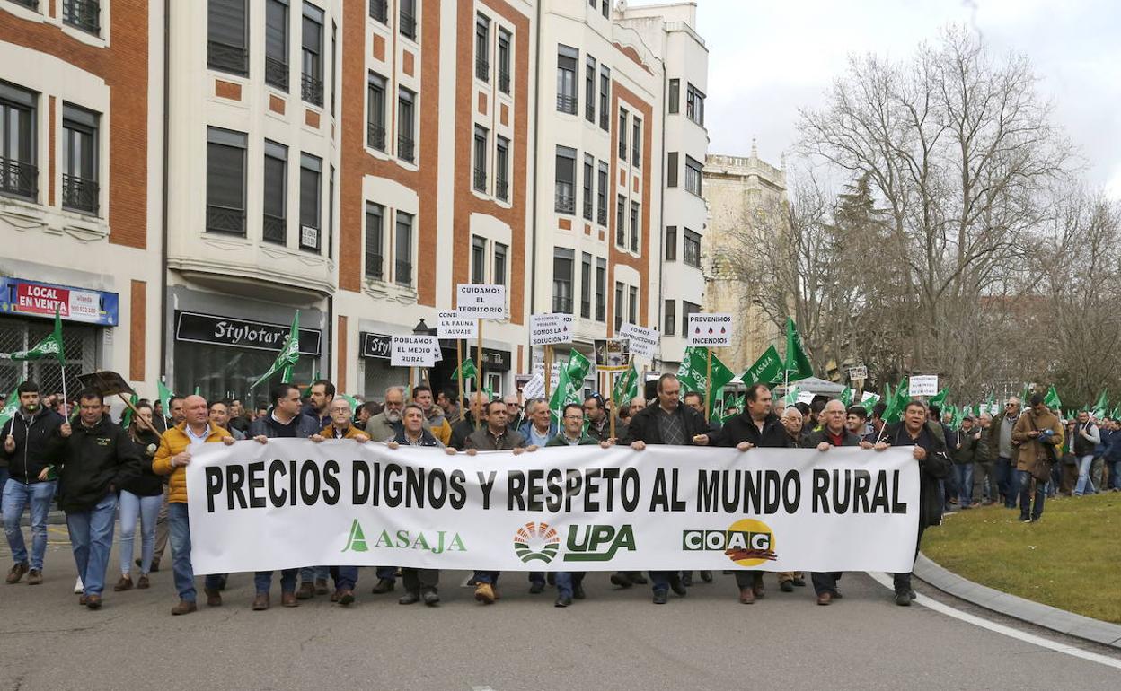 Movilización organizada por las organizaciones profesionales agrarias en Palencia. 