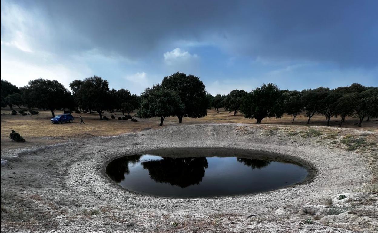 Estado de una charca en una finca en Ituero de Azaba, Salamanca. 