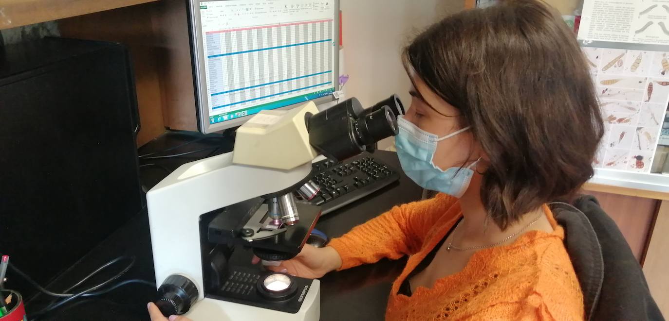 Algunos de los aparatos que miden el aire en la ULE