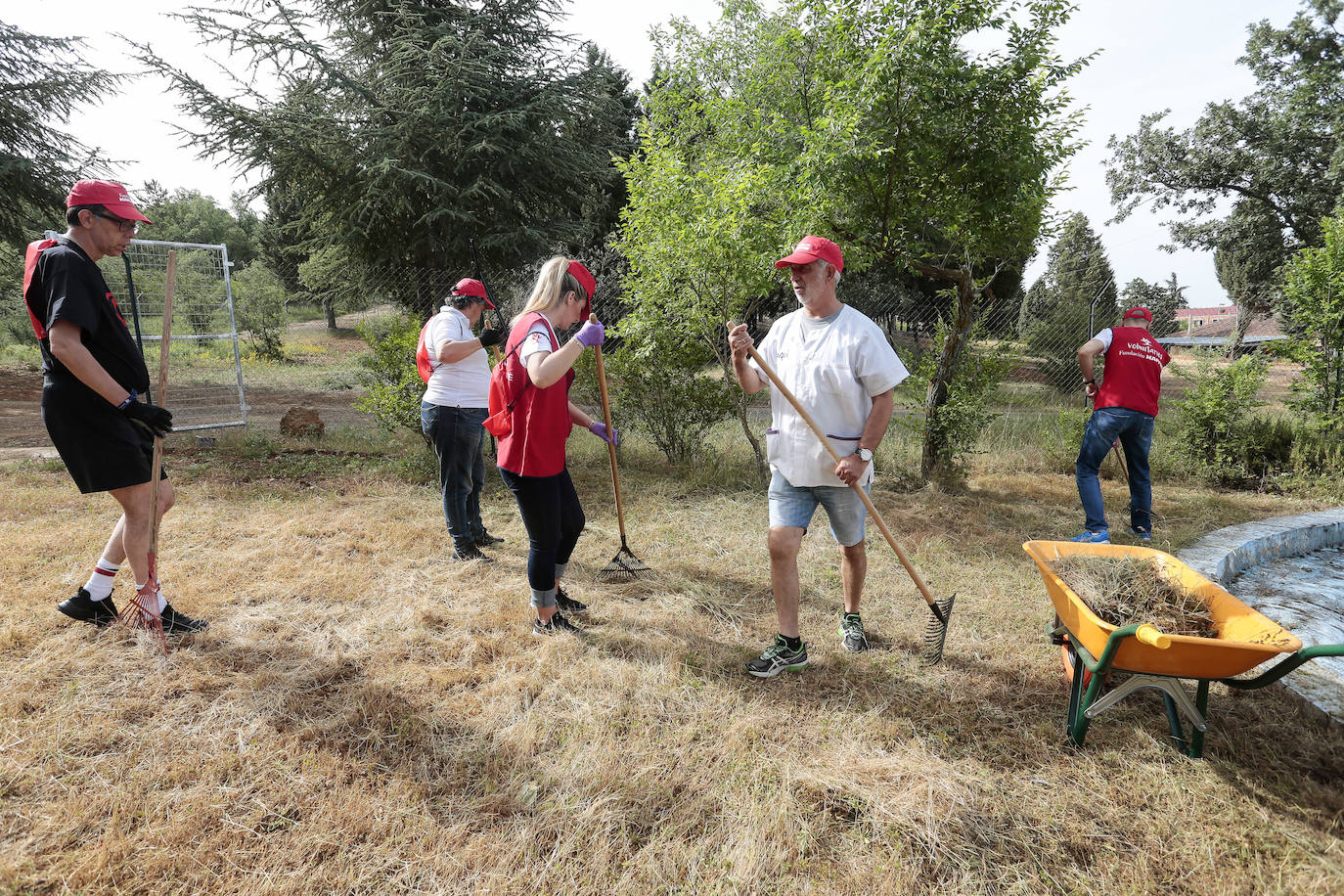 Fotos: Proyecto &#039;Juntos Somos Capaces&#039; de Fundación Mapfre