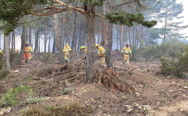 Trabajos de las brigadas sobre el terreno para evitar que el fuego se expanda.