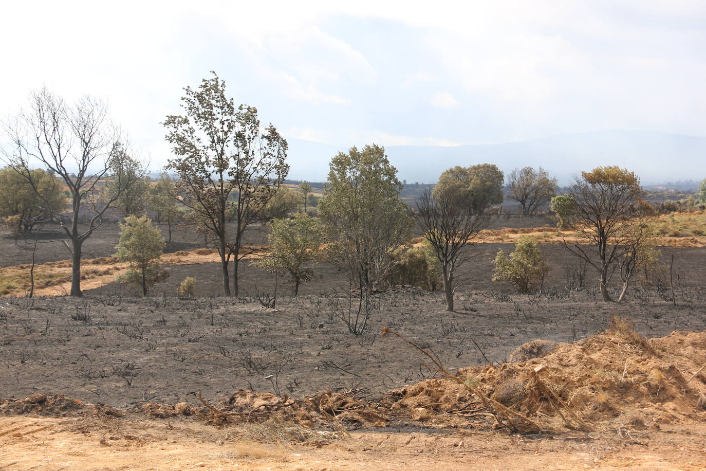 Fotos: El paisaje que deja el incendio de la Sierra de la Culebra