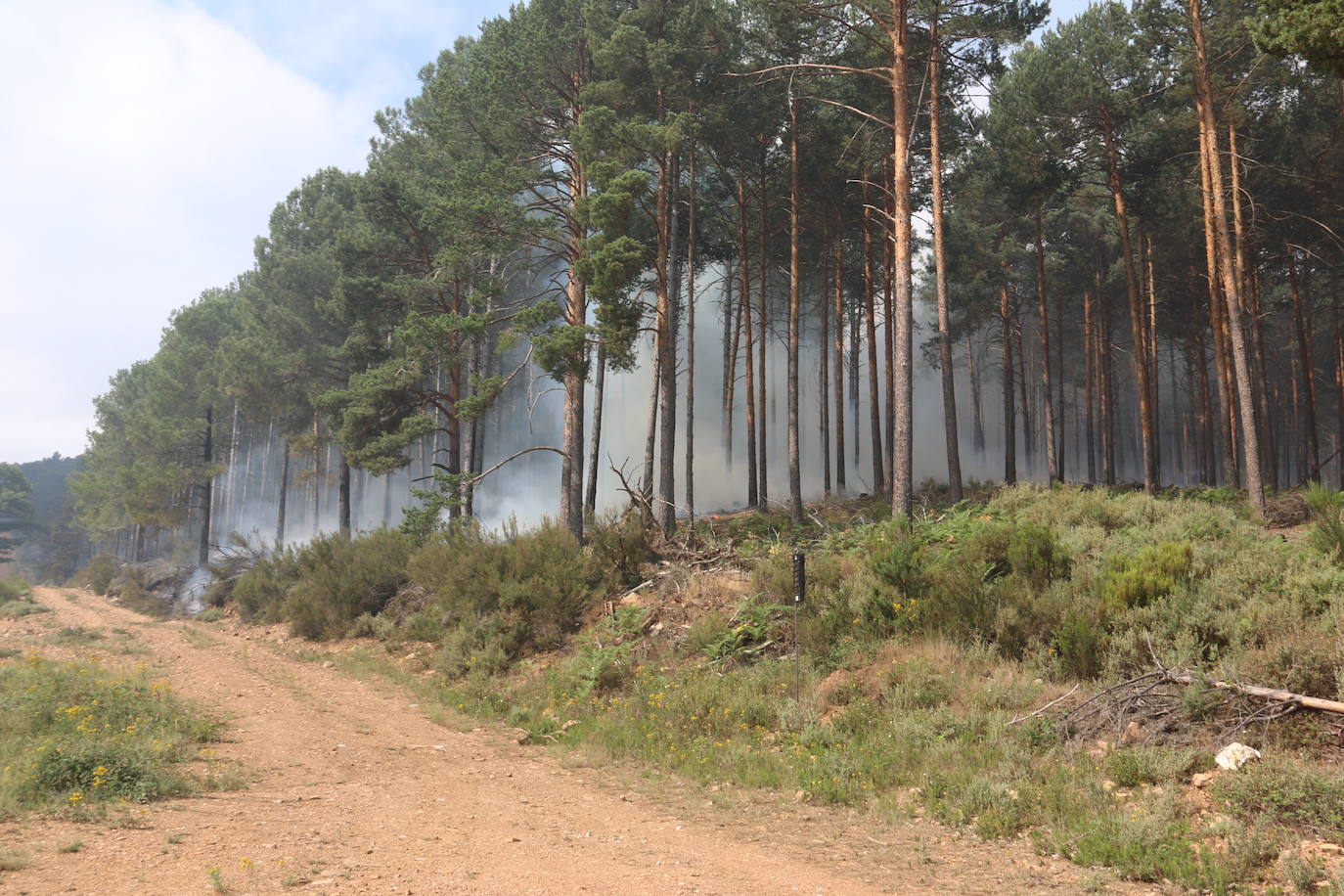 Fotos: El paisaje que deja el incendio de la Sierra de la Culebra
