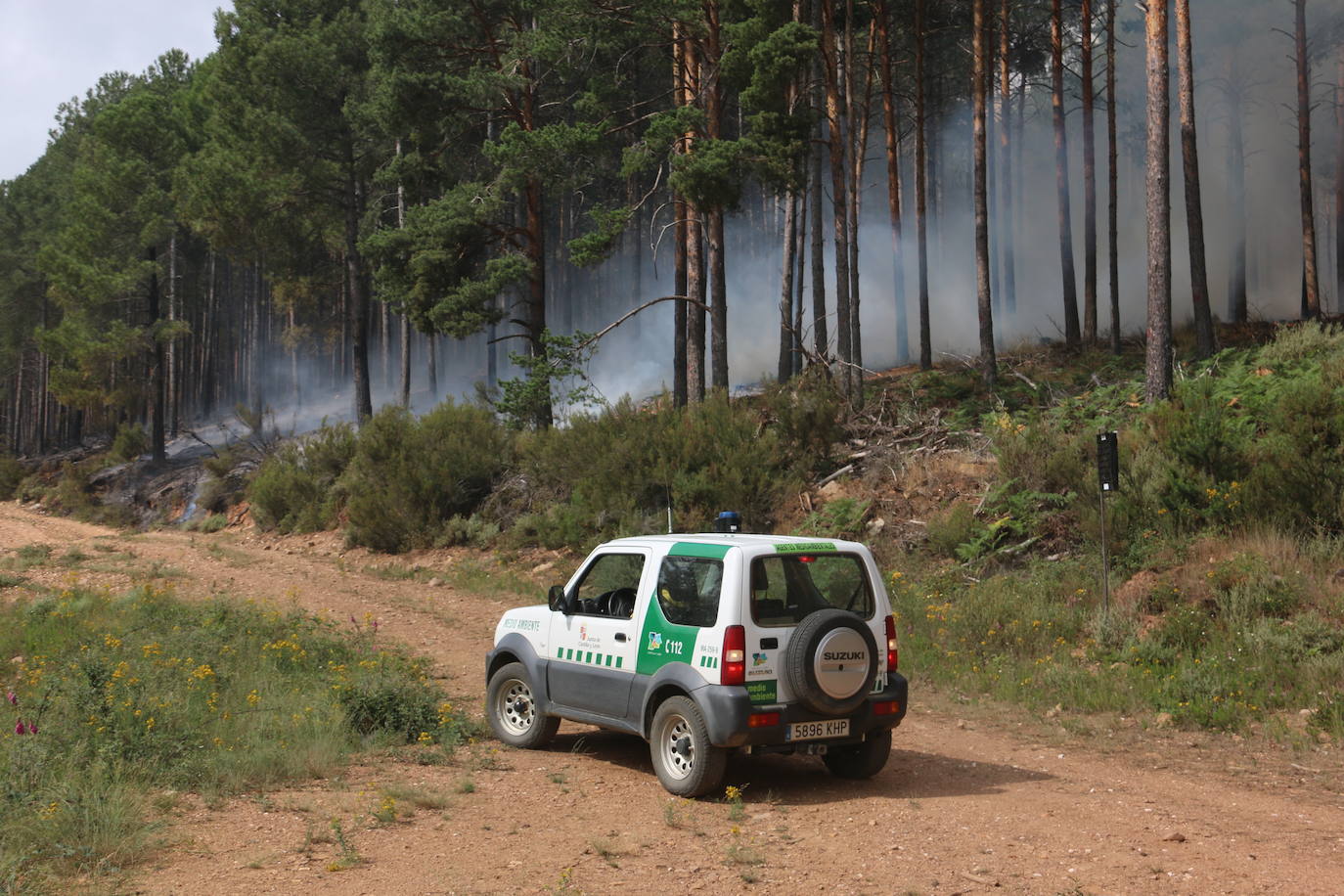 Fotos: El paisaje que deja el incendio de la Sierra de la Culebra