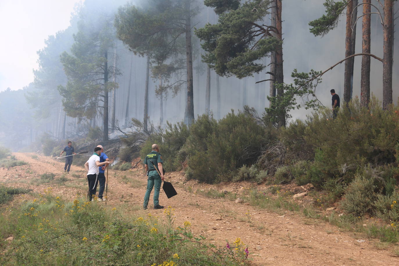 Fotos: El paisaje que deja el incendio de la Sierra de la Culebra