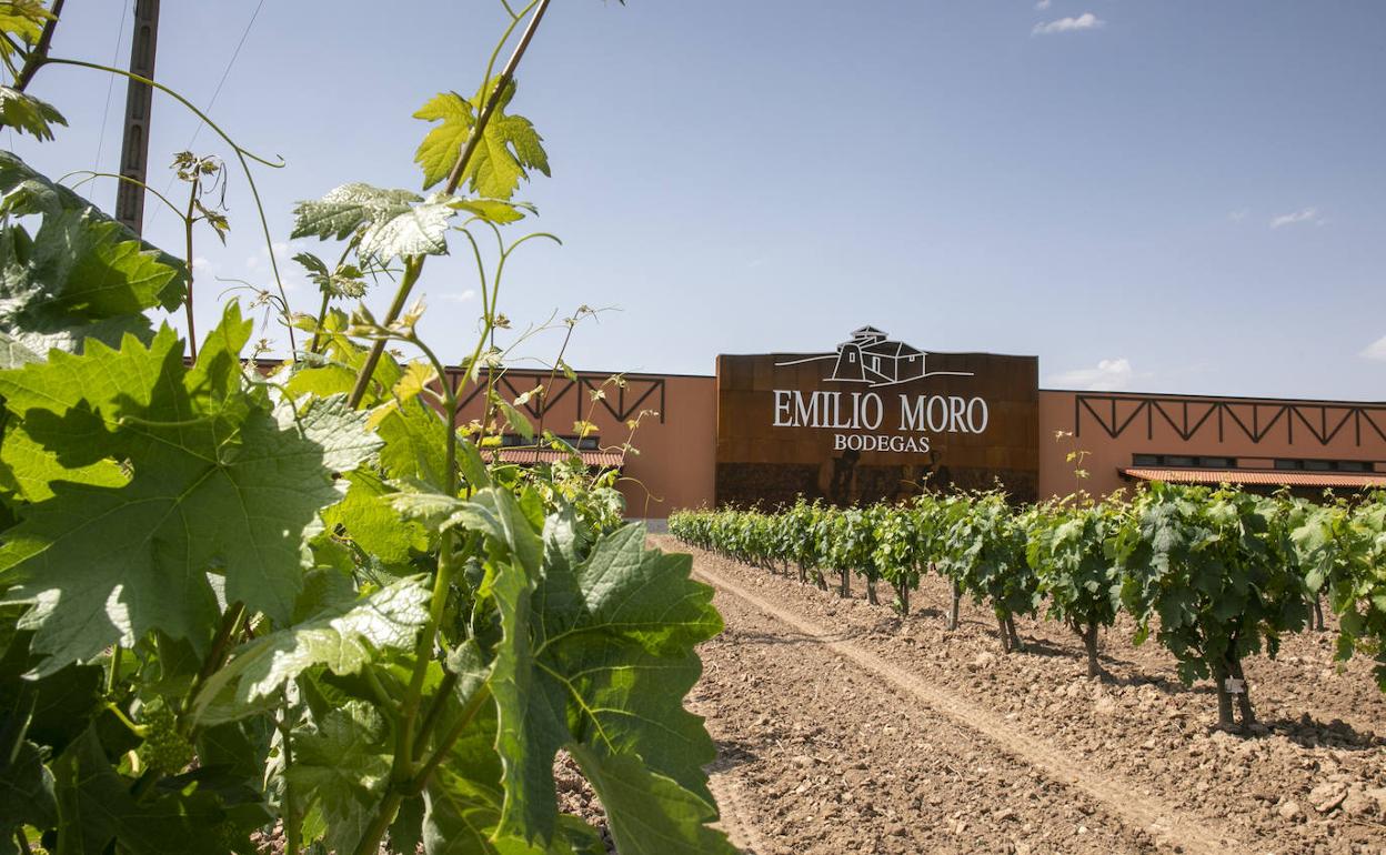 Imagen de la fachada de Bodegas Emilio Moro. 