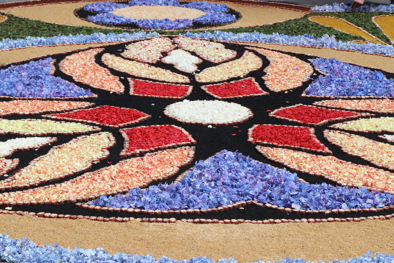 Fotos: Una alfombra floral cubre la plaza de la catedral de León