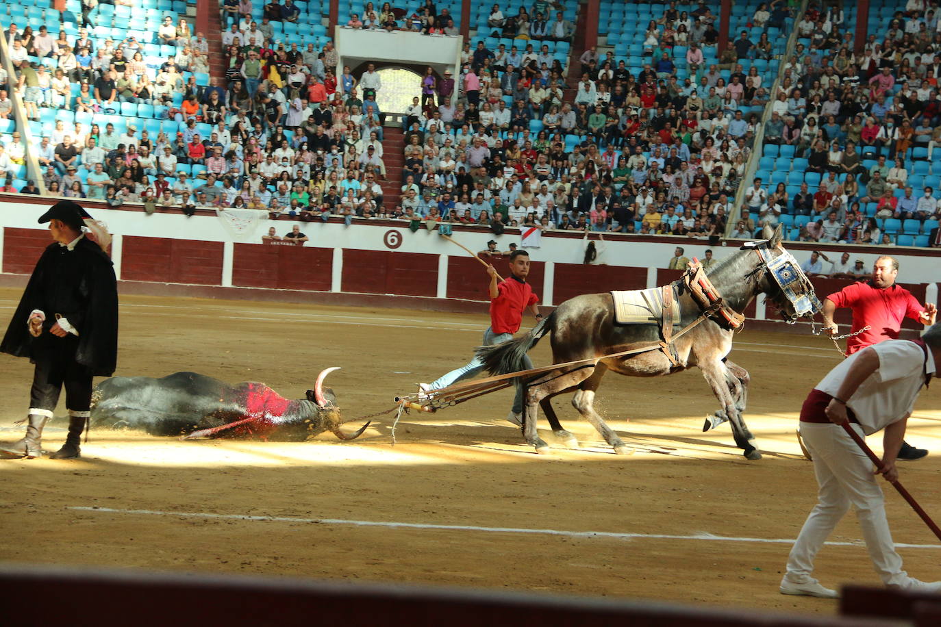 Manzanares durante un lance de la corrida