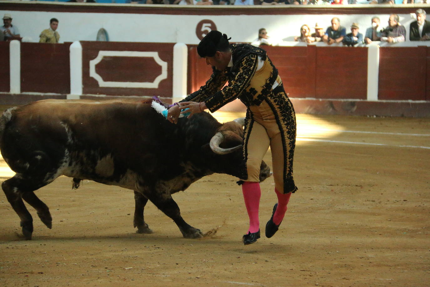 Manzanares durante un lance de la corrida