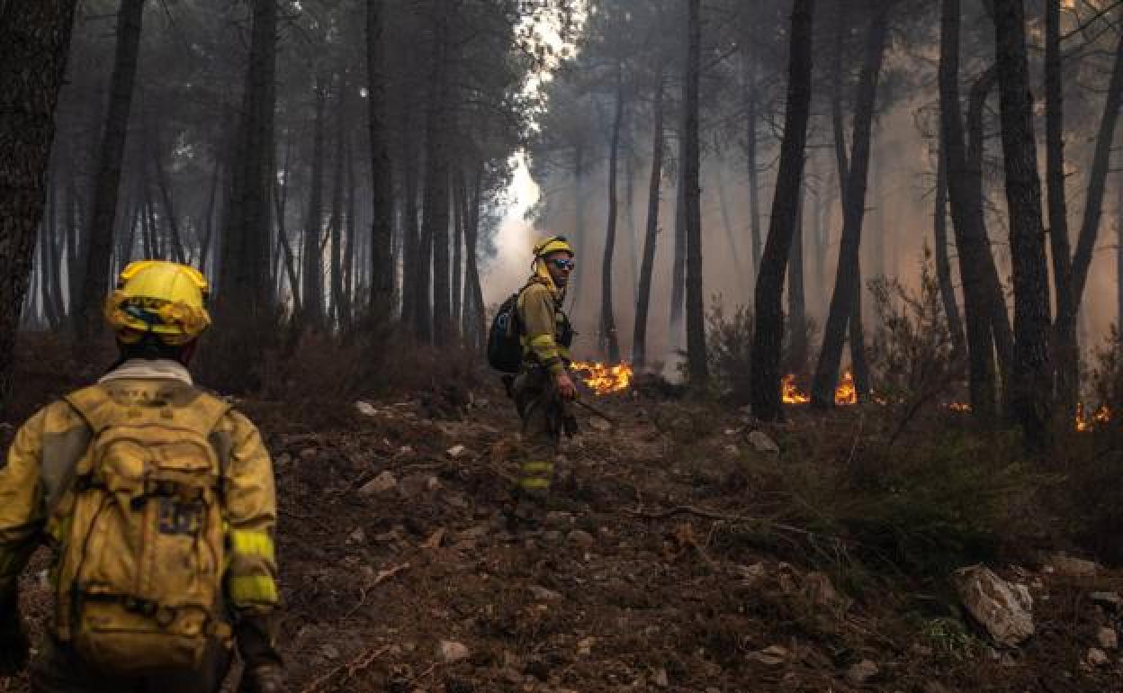 Brigadistas en una imagen de archivo en el incendio de la Culebra en Zamora. 