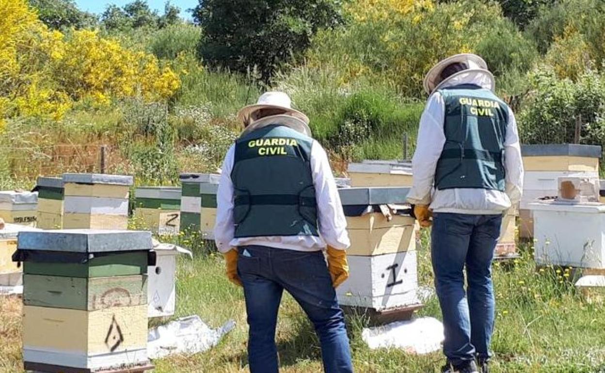 Efectivos de la Guardia Civil en una instalación apícola en una imagen de archivo. 