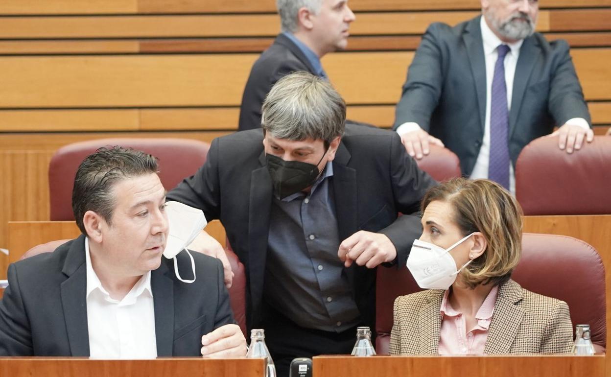 Alicia Gallego, junto a Luis Mariano Santos, en el pleno de las Cortes de Castilla y León. 