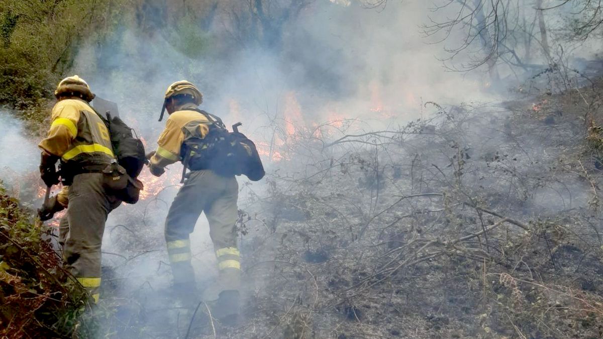 Brigadistas durante la extinición de un incendio forestal