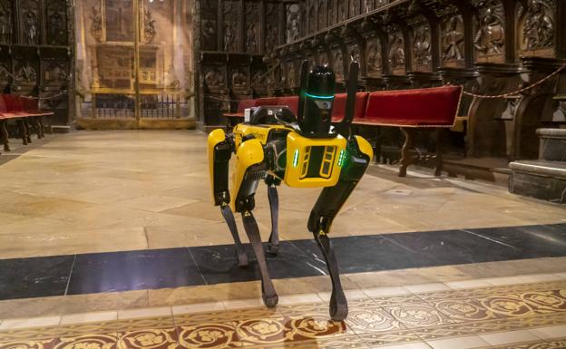 Galería. Spot, durante su 'misión' en la Catedral de León.