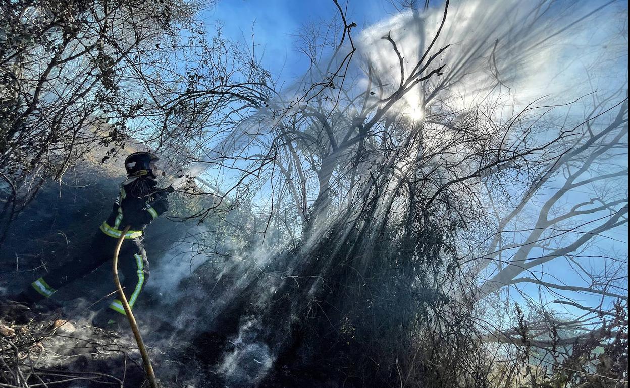 Bomberos de León y los brigadistas de la Junta colaboraron en su extinción.