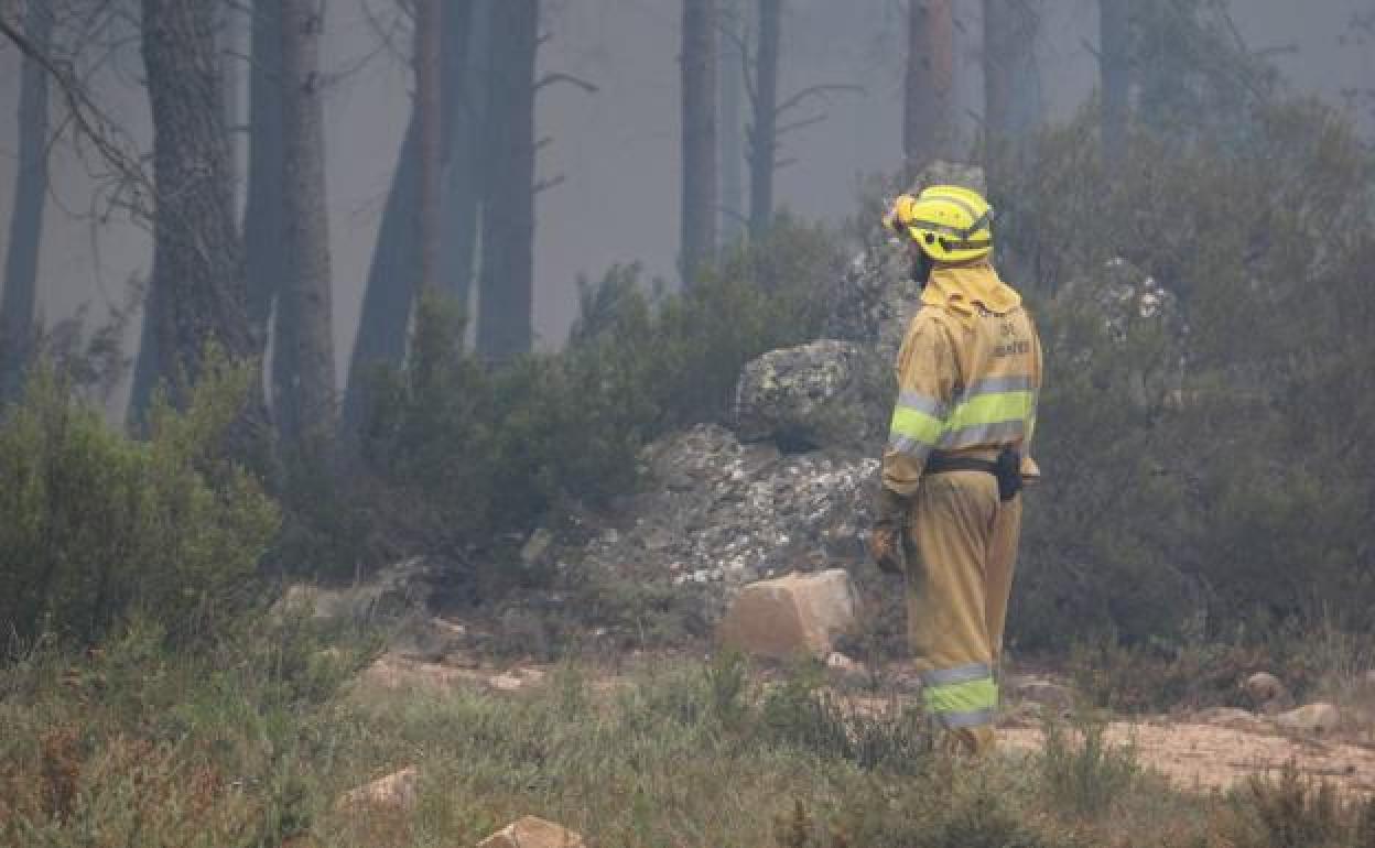 El TSJCyL anula el decreto de la Junta sobre el nuevo plan de servicios de extinción de incendios