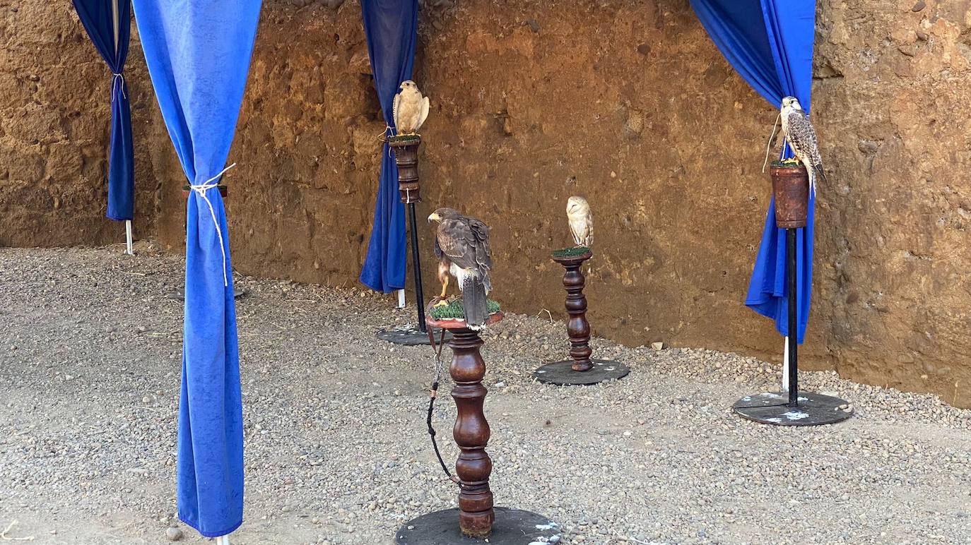 El entorno del Castillo de Coyanza regresa al Medievo con el Mercado Medieval que llena de turistas y puestos la localidad leonesa