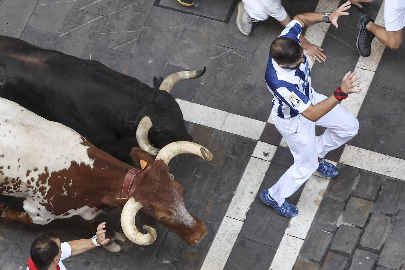 Los toros de la ganadería pacense de Jandilla a su paso por el la calle de la Estafeta durante el sexto encierro de los Sanfermines. 