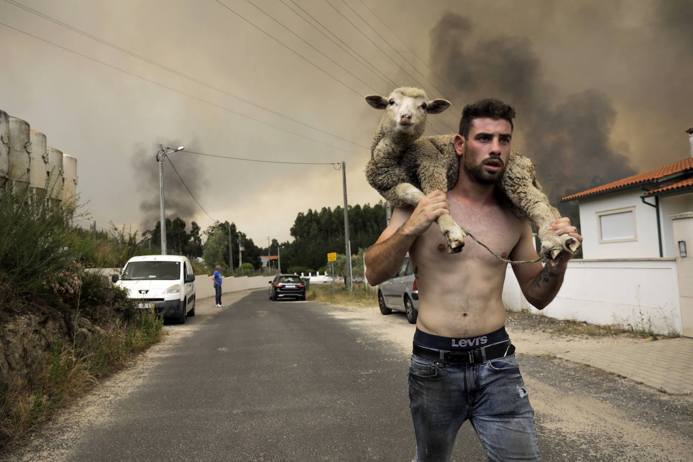 Un hombre transporta una de sus ovejas a hombros, en Leiria. El fuego ha obligado a cortar la autovía A-1 en ambas direcciones.