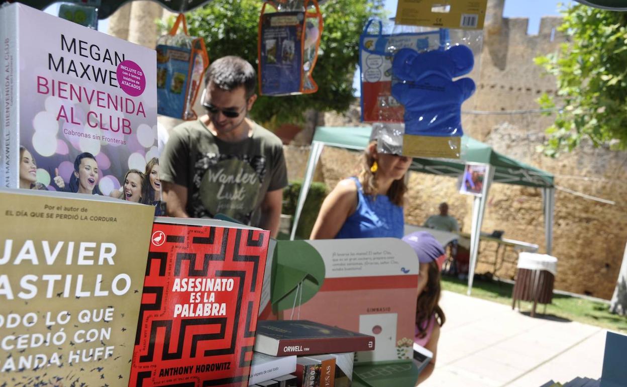 48 expositores se darán cita en la IX Feria del Libro y el Mercado Hippie de Valencia de Don Juan