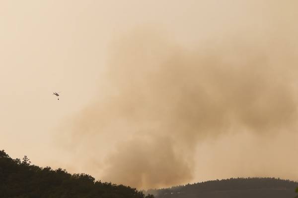 Incendio en la localidad de Paradaseca 