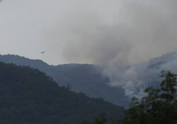 Incendio en la localidad de Paradaseca 