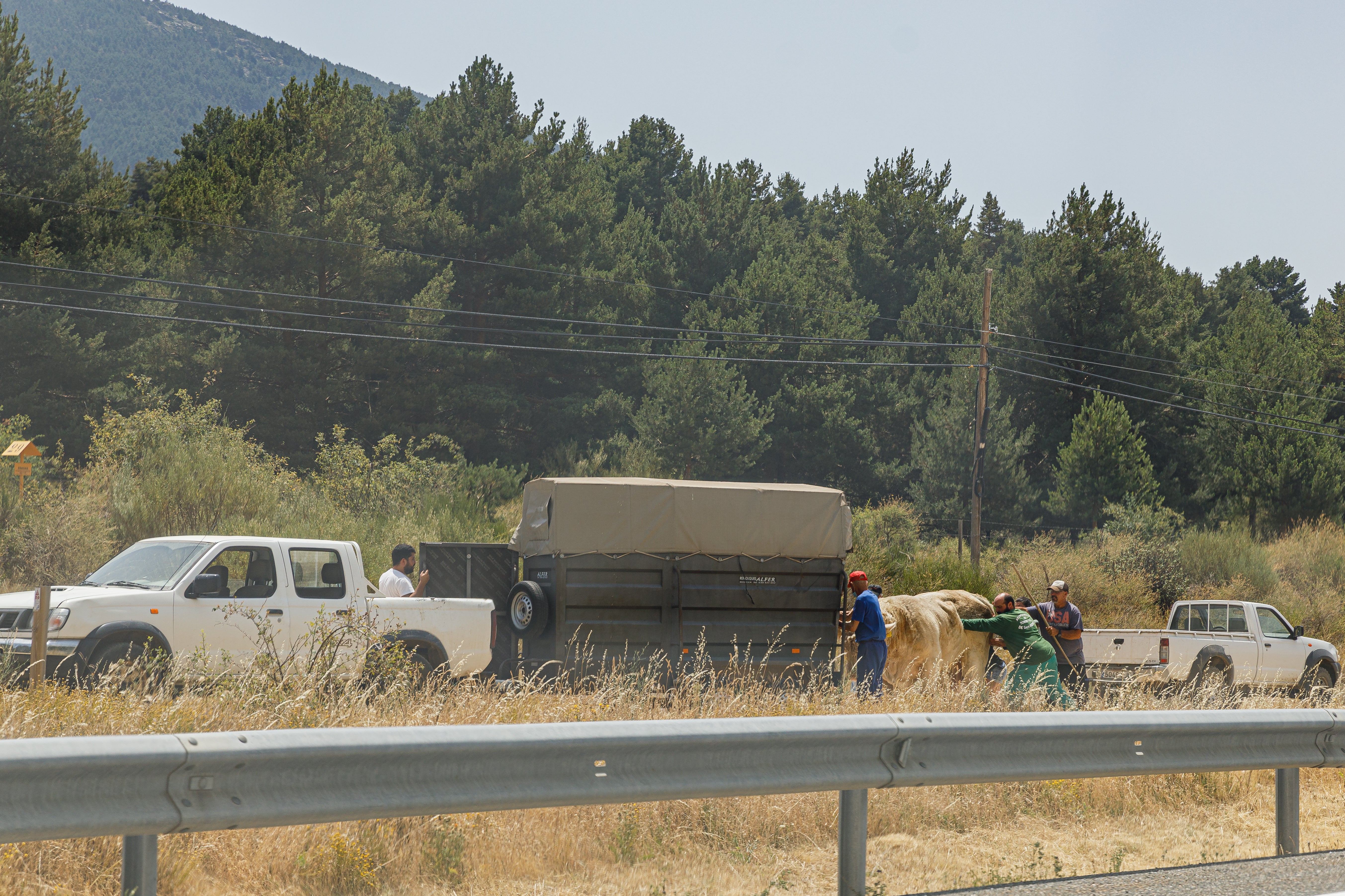 Imagen de uno de los incendios producidos en Castilla y León este viernes. 